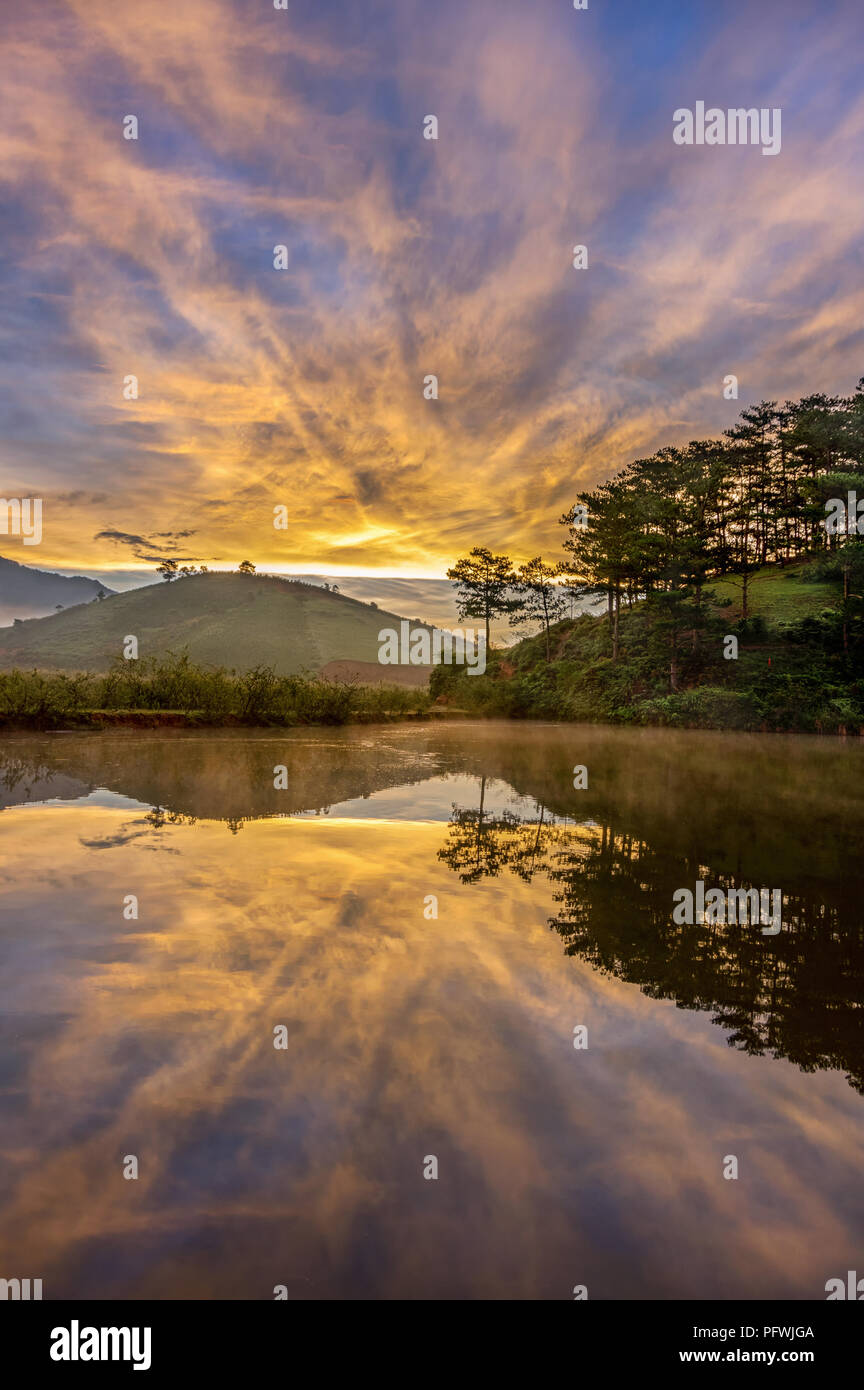 Greats Ciel et nuages du paysage avec du brouillard à l'aube, le lever du soleil, coucher du soleil. forêt de pins dans la brume avec lonely tree, homme seul et de la rosée sur l'usine Banque D'Images