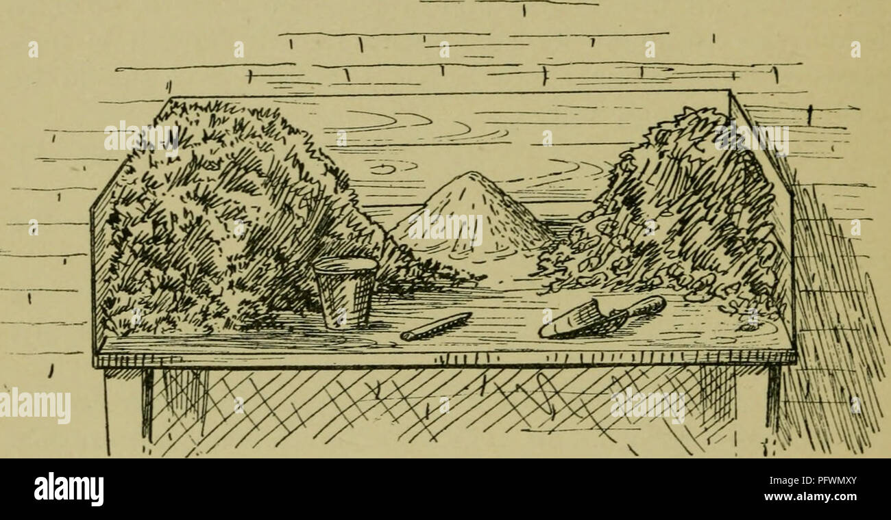 . La culture de plantes en pot dans les chambres, serres, &AMP ; châssis. Plantes, plantes en pot, récipient jardiner. 8 LA CULTURE DE PLANTES EN POT Les trois principaux ingrédients dans les aliments végétaux sont le nitrate, le phosphate et la potasse. Les deux derniers restent dans le sol jusqu'à ce qu'ils sont utilisés par les plantes, mais l'ancien disparaît rapidement. Si, par conséquent, il y a une lacune, il est plus susceptible d'être en nitrate. Bon terreau, comme un mélange de trois parties de turfy terreau, deux parties de moule de feuilles ou de fumier décomposé, et une partie de sable, contient toute la nourriture qui est nécessaire. Il n'est pas nécessaire d'ajouter anyth Banque D'Images