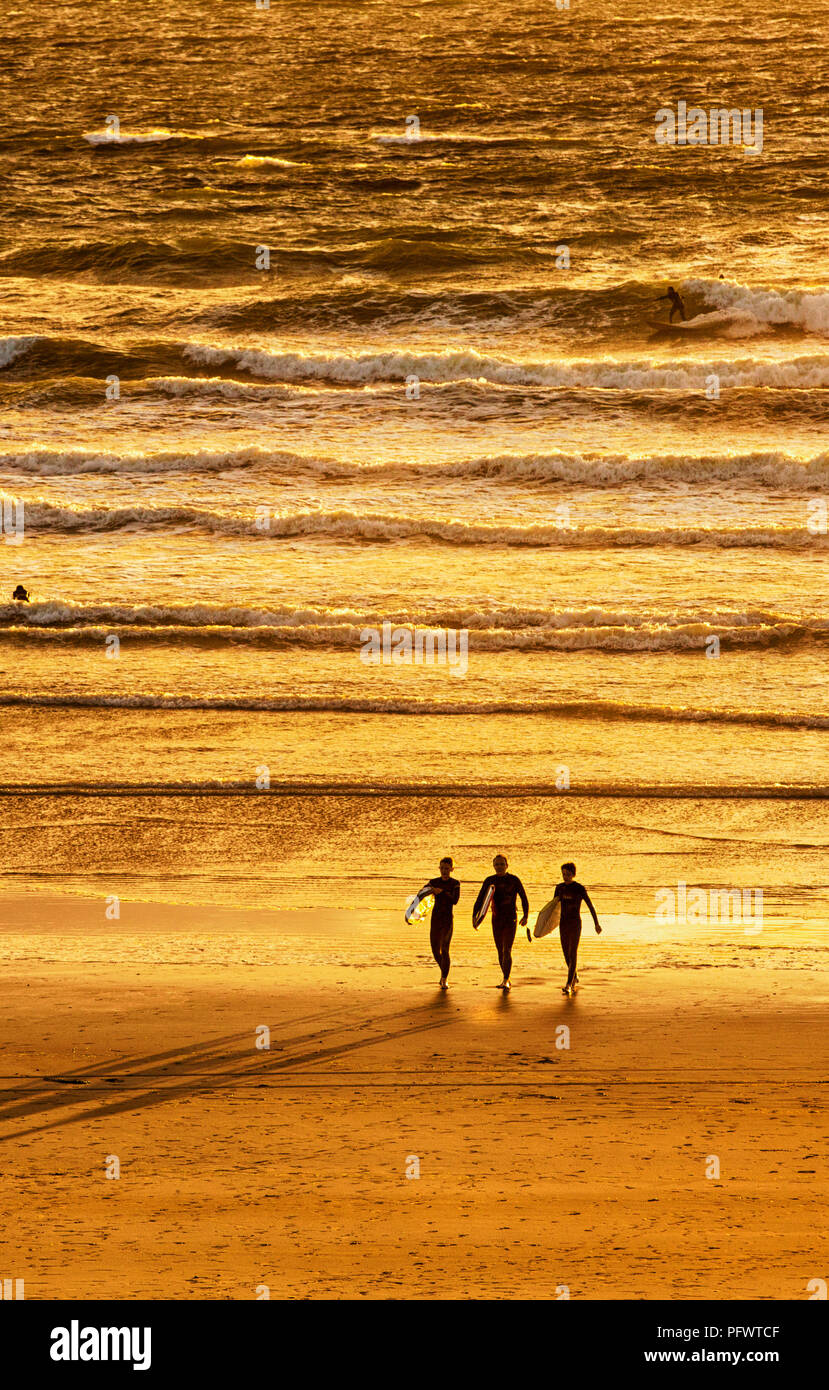 Surfeurs de Polzeath au coucher du soleil, Cornwall, UK. Banque D'Images