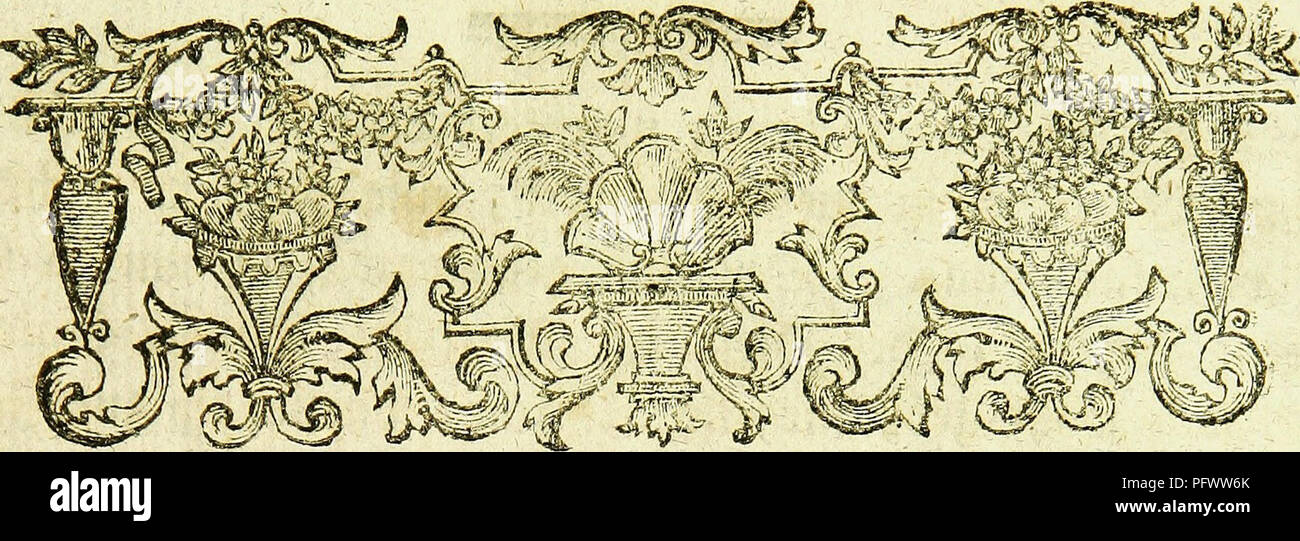 . Johann Euseb Voets Beschreibungen und Abbildungen hartschaaligter Insekten, Coleoptera Linn. Aus dem bersetzt Getreu original ?u, mit der dans selbigem fehlenden Synonymie und besta ?ndigen Commentar versehen. Les coléoptères. 0 XV t t t $mM m mwmmm %w m &fr aucun* mmn mp^ erflett ifeitö tafeln bei 3M"e Boetf SBerfeS& ; mit einem homme ßltfät lasse*, bemfibe ic& ; mi* t> greunfce inefeö 3;ie&0$ mit dnigermaffett m &en entfestigen Stufetttfjalt langen |u, t>plat im* M meinen Milien je twtö o&tte mein mo M MD mn la société fc&^. Veuillez noter que ces images sont extraites de la page numérisée Banque D'Images