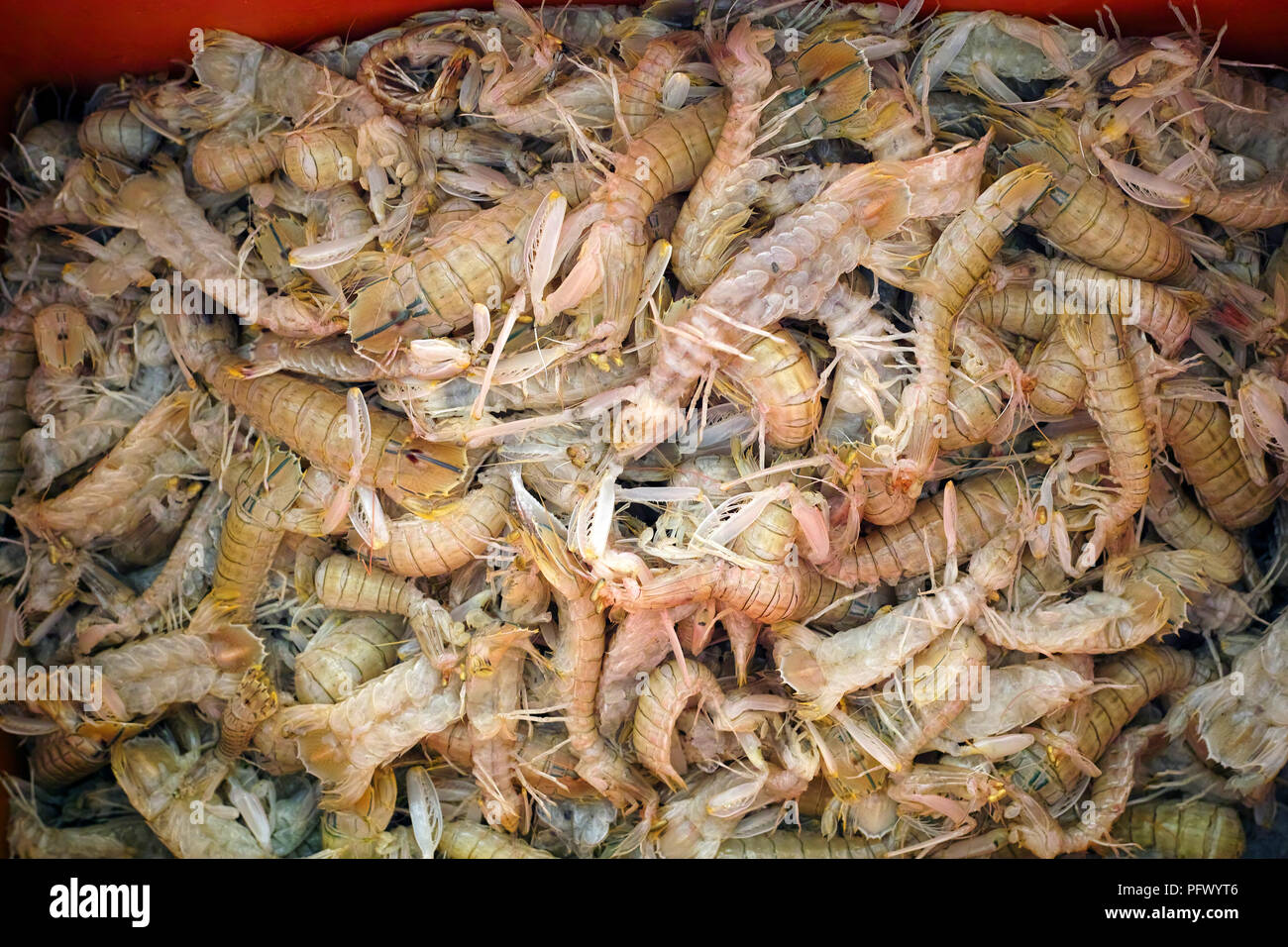 Fruits de mer frais et des produits du poisson. Sekinchan village de pêcheurs, la Malaisie péninsulaire. Banque D'Images