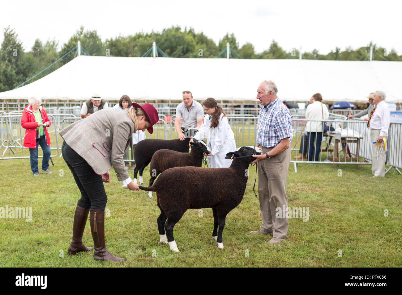 © Chris Bull. 20/7/18 , LANCASHIRE UK. 2018 Royal Show Lancashire à Clayton-le-Dale Hall , Ribchester , aujourd'hui (20 juillet 2018). Le spectacle se déroule du TSD Banque D'Images