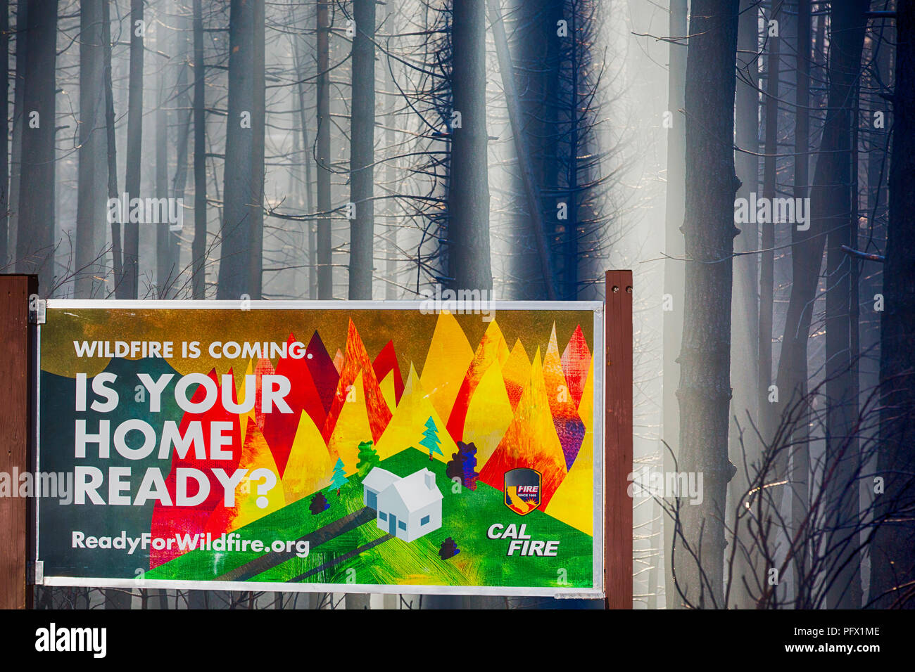 Le Roi incendie qui a détruit 97 717 hectares de la Forêt nationale d'El Dorado, en Californie, USA. À la suite d'une sécheresse sans précédent de quatre ans, wild fi Banque D'Images