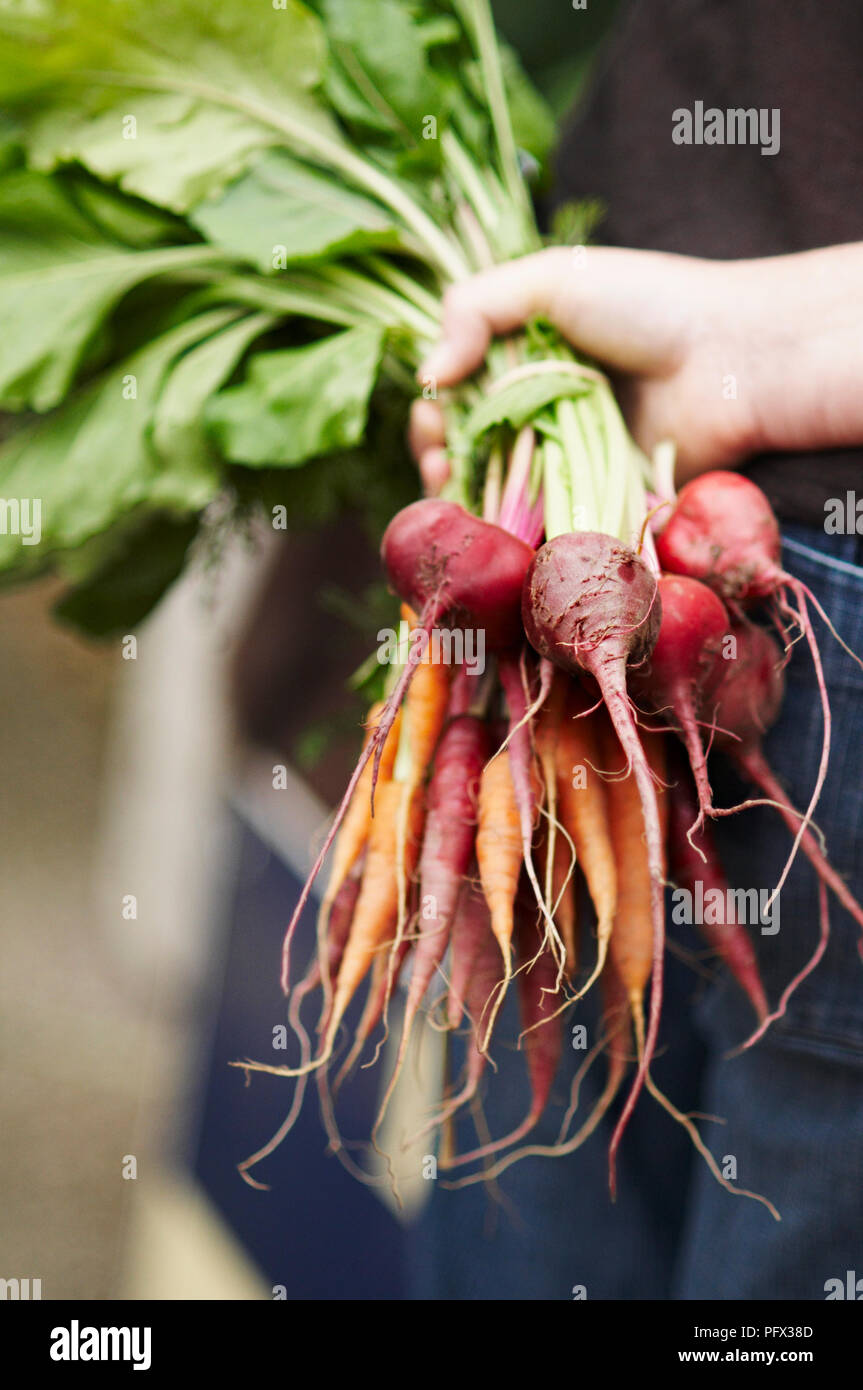 Betteraves et carottes bio sur un marché. Banque D'Images