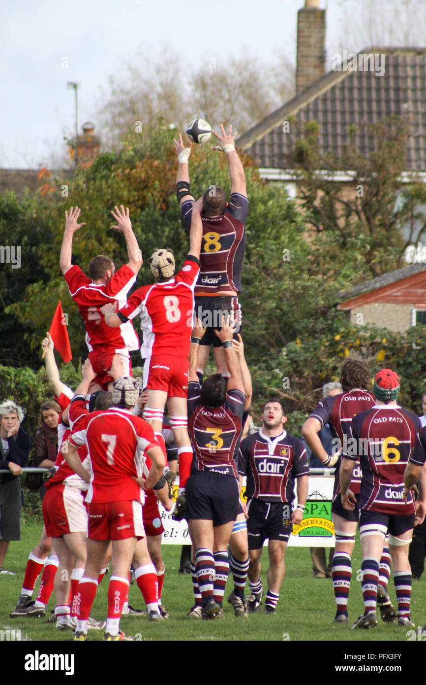 Pats vieux versets RFC RFC Barnstaple Banque D'Images