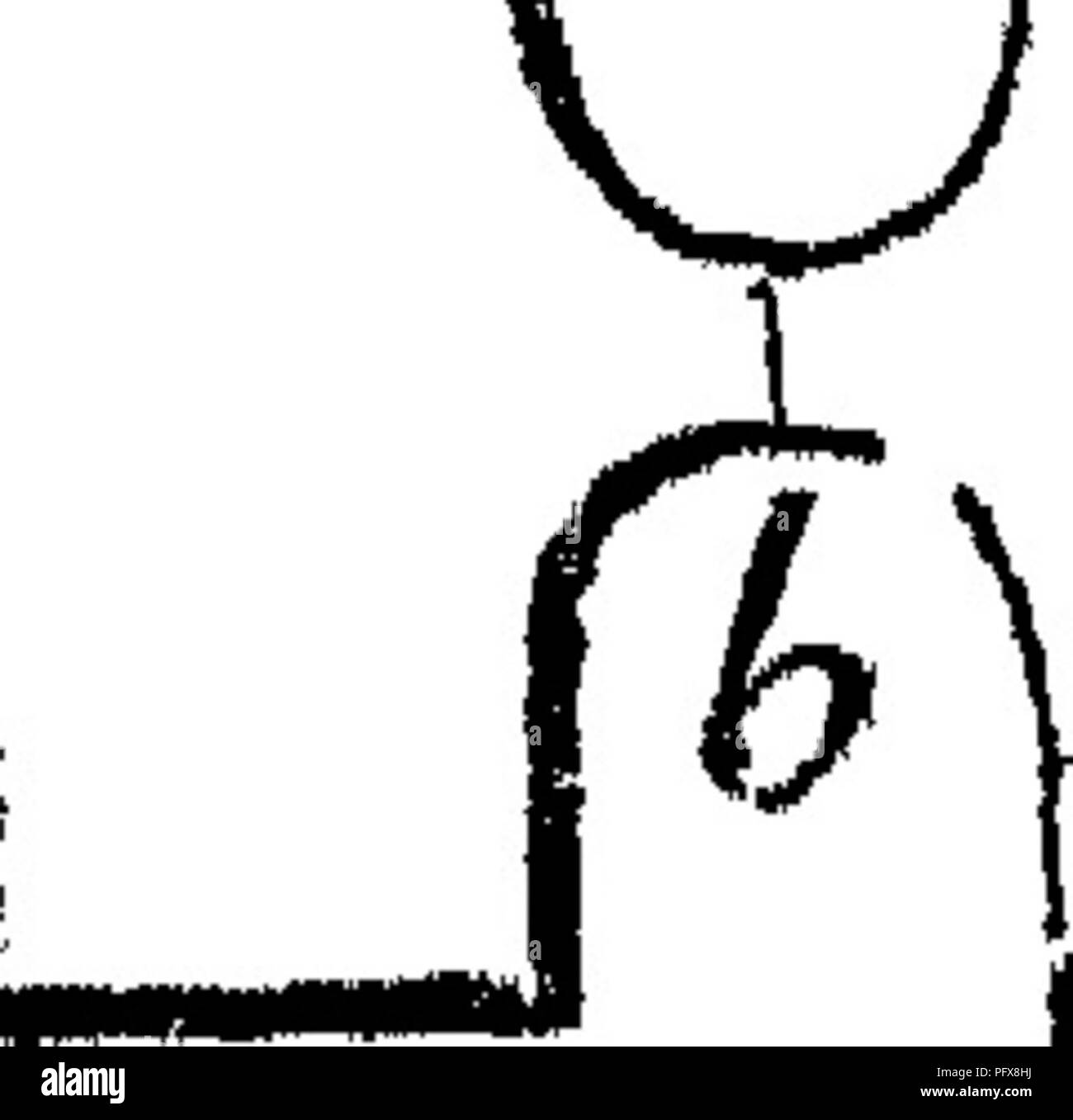 . Principes de l'anatomie et la physiologie de la cellule végétale. Les cellules et les tissus des végétaux. La cellule végétale. lis Fig, 49. dans un disque plus ou moins plat (couche thécale^) ; dans le couvert- fruits, il reste enfermé dans le thalle. Dans chacune des huit cellules- parent les spores sont formées par la formation de cellules libres, et dans de très nombreux cas ces former deux, quatre ou un plus grand nombre de cellules secondaires dans leur intérieur. Très peu d'observations' ont été faites sur la germination de ces spores selon HoUe (" ZurEnt wlckeliingsg Borrera-, von ciliaris/'-sur le développement de 5. ciliaris, Di Banque D'Images