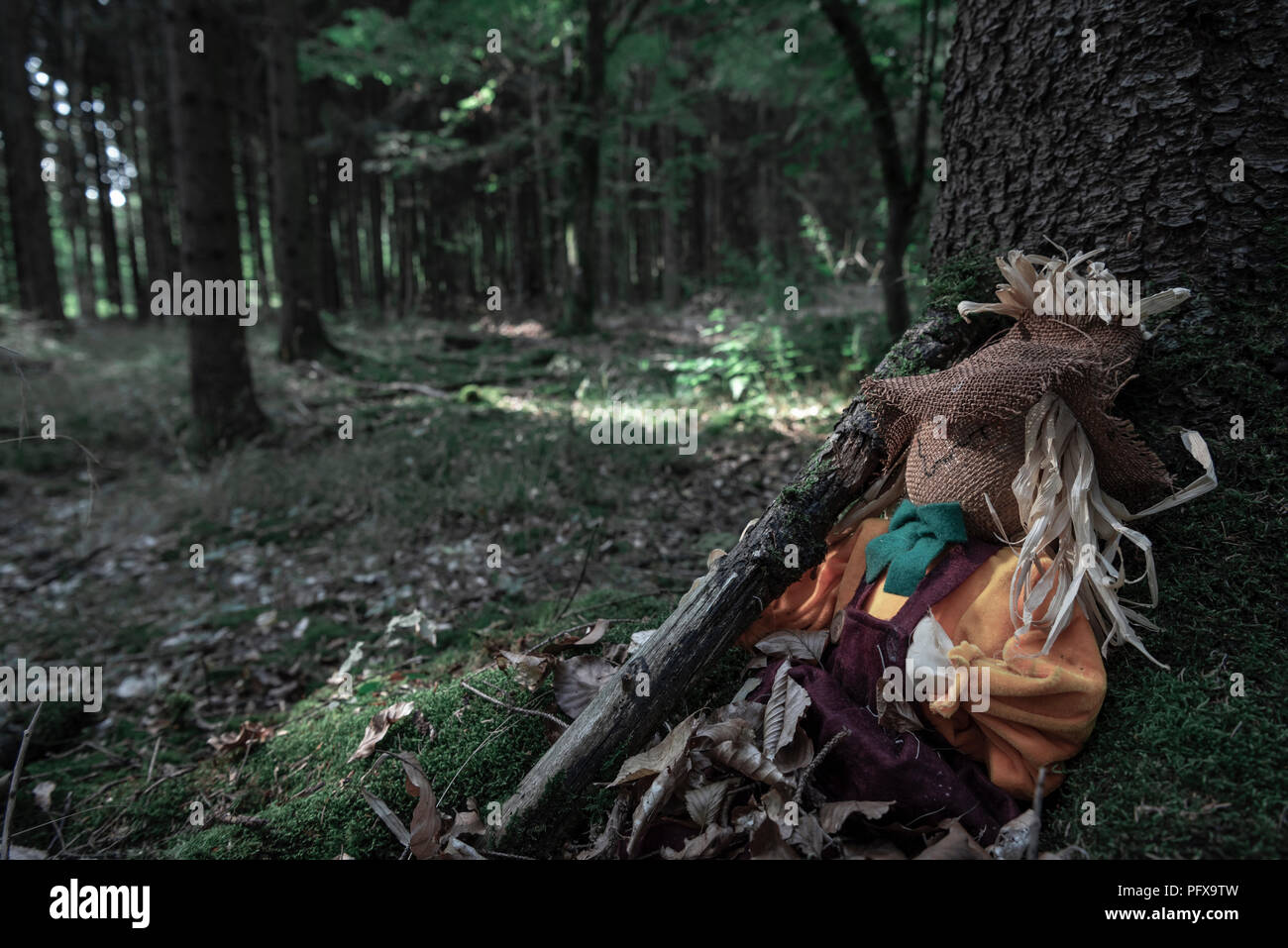 Épouvantail assis à les racines d'un arbre, tenant une branche, couvertes de feuilles sèches, dans une sombre forêt. Un concept pour l'Halloween. Banque D'Images