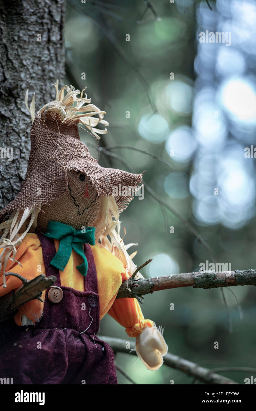 Close-up avec un épouvantail, resté suspendu entre deux branches d'arbre, sans feuilles, dans les bois sombres. Un concept pour l'Halloween. Banque D'Images