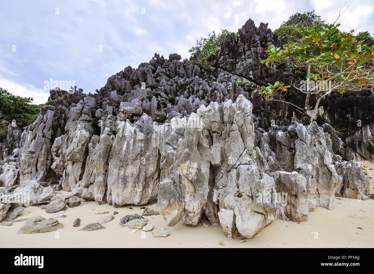 Des affleurements de roche calcaire - Caramoan, Camarines Sur, Philippines Banque D'Images