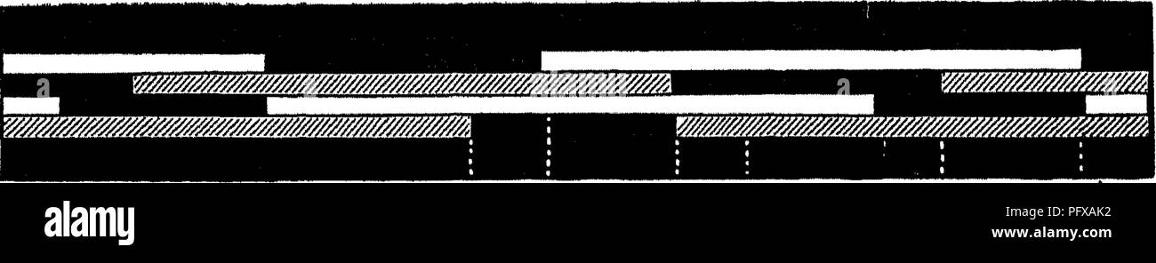 . Points du cheval ; un traité sur la conformation, les mouvements, les races et l'évolution du cheval. Les chevaux. Fig. 221.-"marche ordinaire (Figs. 75 à 82).. Fig. 222.-marche lente dans le projet (Fig. 89 à 95).. Veuillez noter que ces images sont extraites de la page numérisée des images qui peuvent avoir été retouchées numériquement pour plus de lisibilité - coloration et l'aspect de ces illustrations ne peut pas parfaitement ressembler à l'œuvre originale.. Hayes, M. Horace Horace (Matthieu), 1842-1904. Londres, W. Thacker &AMP ; co Banque D'Images