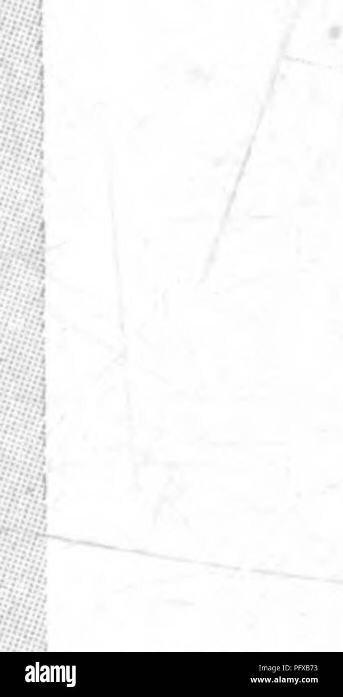 . Bactériologie et mycologie d'aliments. L'alimentation. Fig. 62. automatique d'alimentation directe de chloration. (Wallace-Tiernan Co.) traités, si l'eau ne contient pas de grandes quantités de matière organique. Une action bactéricide efficace lorsque le lime a été ajouté en de J à 1 partie par million en sus de ce qui est nécessaire pour réduire la dureté temporaire- tem. Les bactéries intestinales ne veulent pas vivre dans une eau contenant pas de libre ou demi-lié l'acide carbonique. Lorsqu'un tilleul d'eau adoucie est inoculées avec des bactéries ou des eaux usées brutes de la typhoïde, il devient vite bac-. Veuillez noter que ces images sont extraites de scan Banque D'Images