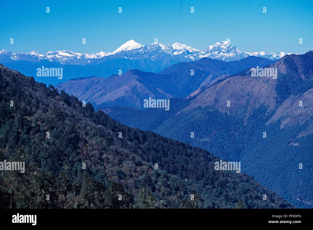 Jhomolhari pic au Bouthan Himalaya vu de Pele La Pass dans le centre de Bhoutan Banque D'Images