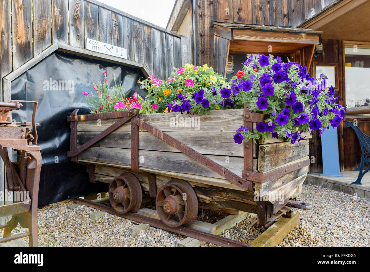 Mine de charbon à fowers jardin panier rail, Big Valley, en Alberta, Canada. Banque D'Images