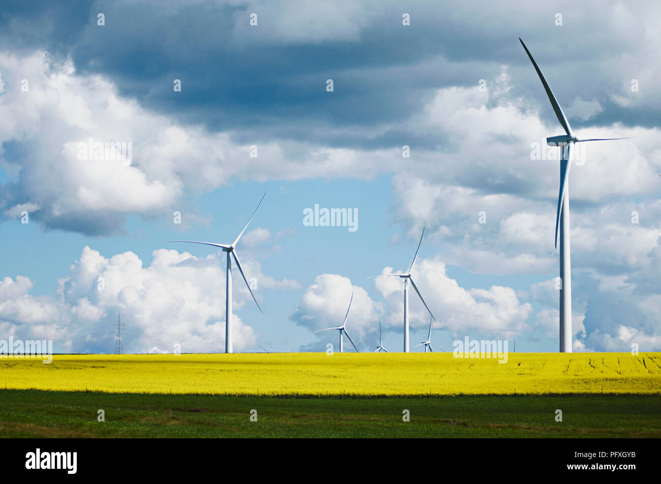 Les bestiaux Hill Wind Farm est un projet d'énergie éolienne situé à 35 km à l'ouest de la région de Ballarat Victoria's Central Highlands, connu comme les Pyrénées, l'Australie Banque D'Images