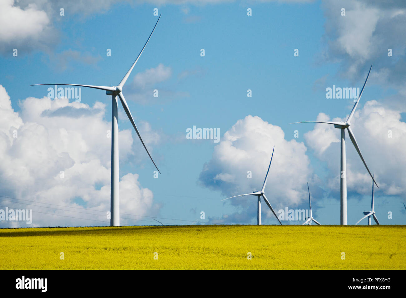 Les bestiaux Hill Wind Farm est un projet d'énergie éolienne situé à 35 km à l'ouest de la région de Ballarat Victoria's Central Highlands, connu comme les Pyrénées, l'Australie Banque D'Images