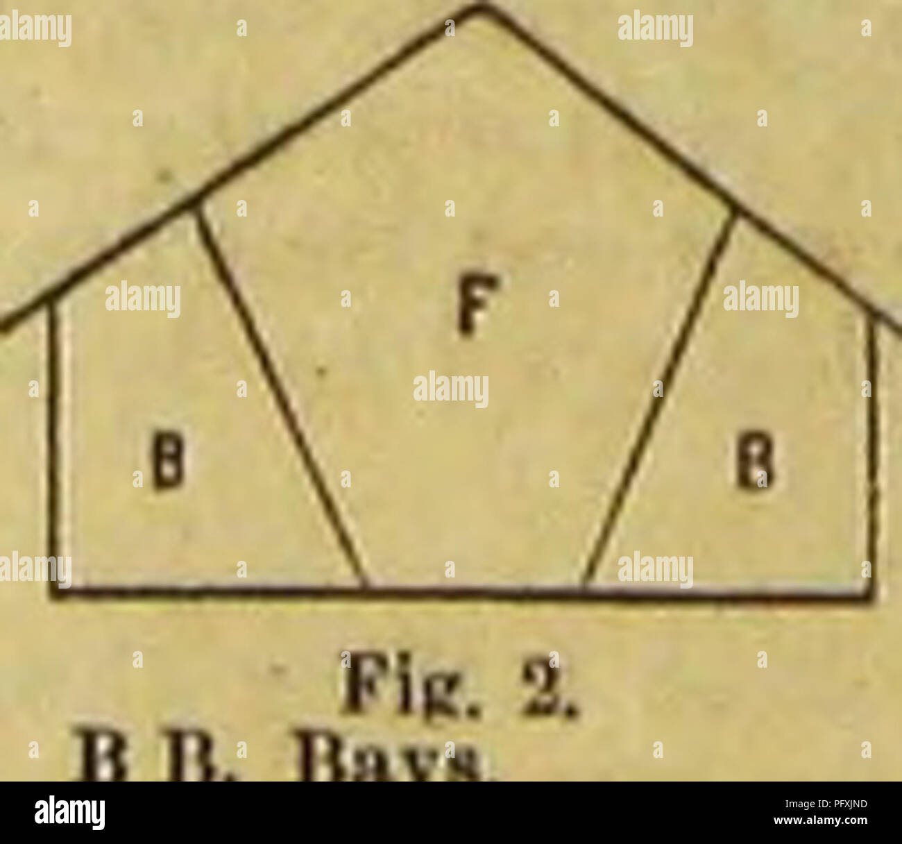 Cette étude entomologique comprend une variété d'illustrations et de descriptions des insectes, en se concentrant sur leur habitat, leur anatomie et leur comportement. Le travail fournit des observations détaillées sur les espèces d'insectes, leur interaction avec les environnements et leur rôle dans les écosystèmes. Banque D'Images