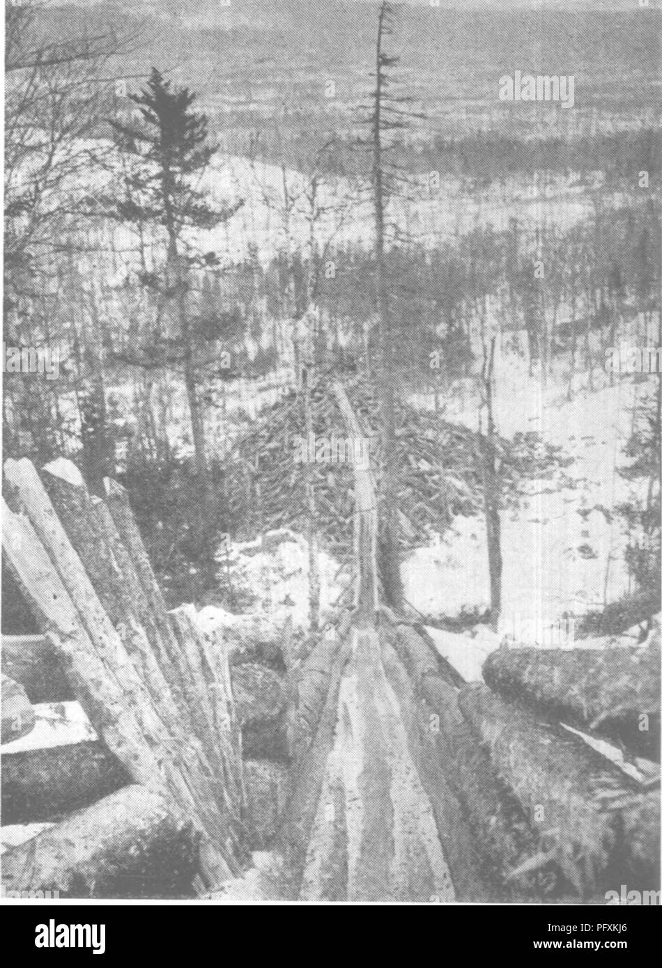 . La protection des forêts et de la conservation dans le Maine, 1919. Les forêts et la foresterie. DISTRICT FORESTIER MAINE 43 ^ ^ J'aimerais suggérer que les vieux champs et prés sur Se- Le bois est brûlé sur la rivière ev- tions ressort sur ac- count de l'herbe et les mauvaises herbes qui grandissent dans l'été. Cela a été un mauvais piège de feu pour les pilotes dès que la neige est à l'arrêt et pour les pêcheurs plus tard dans la saison. Également que le patrouilleur du lac Webster's cab- à être couverts de roofing cette année. Qu'un affût sur Lunkasoos Pogey r o Mountain pour prendre soin de l'Wissatta- quoik pays et les terres de table sur le mont Kat Banque D'Images
