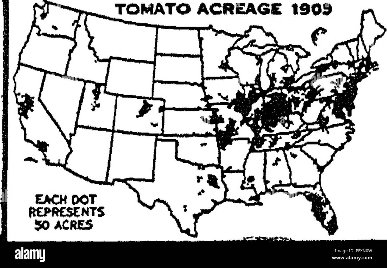 . La productivité des sols ; les éléments fondamentaux de la réussite de la gestion des sols et à la rentabilité de la production agricole. Les sols. Fig 182-où les haricots sont cultivés Fig 183 -superficie ou de pommes de terre Tomates par la fin de haricots ou de maïs, haricots précoce peut être suivi par du chou ou de la laitue, etc. Chaque fois qu'il n'est pas possible de planter un autre légume, la terre devrait être plantée pour certaines cultures d'engrais vert-.. Veuillez noter que ces images sont extraites de la page numérisée des images qui peuvent avoir été retouchées numériquement pour plus de lisibilité - coloration et l'aspect de ces illustrations ne peut pas parfaitement ressembler à l'œuvre originale.. Weir, Wilbe Banque D'Images