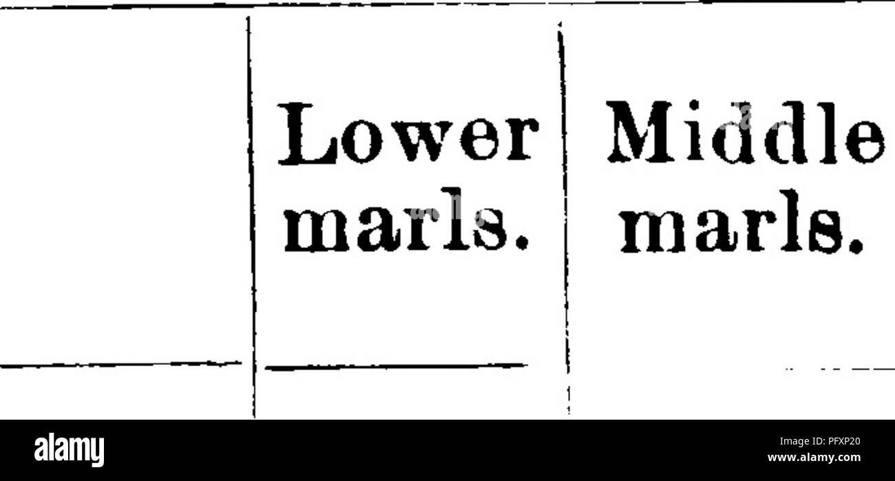 . Gasteropoda et des céphalopodes de l'argiles Raritan et marnes sables verts du New Jersey. Gastropoda, combustibles, combustibles, des céphalopodes, la paléontologie. 292 La PALÉONTOLOGIE DE NEY JERSEY. Liste classée des Gasteropoda du New Jersey, itfarisâContinued du Crétacé. Milieu marneux. GASTEROPODAâContinued la classe. Sous-classe PROSOBRANCHIATAâContinued. Pour PECTINIBRANCHIATAâContinued. ^âContinued Naticid Famille : crenata infracarinata obtusivolva G. Con G. X X X X X X X X X X X petrosus ^ Amauropsis Meekana Mort W | ^ punctata G , Trochid familiale X.e : j Genre Marguerite abyssina Abbottii Margaritella Famille G G Banque D'Images