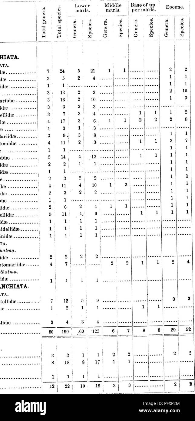 . Gasteropoda et des céphalopodes de l'argiles Raritan et marnes sables verts du New Jersey. Gastropoda, combustibles, combustibles, des céphalopodes, la paléontologie. Marnes inférieures. Éocène. o o un © ^ ® &AMP ; bC m 1 "s : ^ CTI C3 .4-3 *j o c a H H '&gt ;-^ 00 e3 (C ® fl © P&Lt ; ® P4 02 o xn Class GASTEROPODA. Sous-classe PROSABRANCHIATA. Pour Pectinibranchiata. Tritonidae PurpuridsB Fusidai famille Lophiomyinae Fasciolariidae . Buccinida Turbinellidse Volutidai Mitrlda » PleurotomidaB Strorabidae3 Des Scorpionidae . Cassididae Doliidae Natlcidae Des Onustidae SolariidaB Scalariidae TurritellidaB Eulimidab Pyramid Banque D'Images