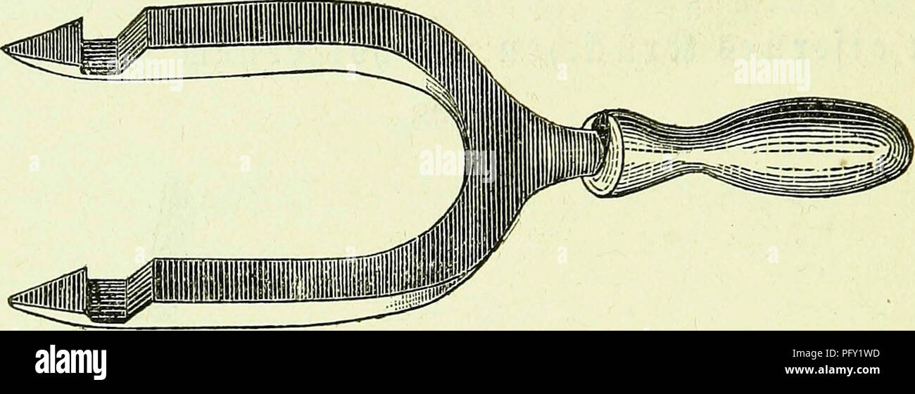 Ce livre sur l'apiculture se concentre sur les techniques de reproduction des abeilles dans les régions sans sources de nectar de la fin de l'été. Elle comprend des procédés d'utilisation de cadres mobiles et d'optimisation de la gestion de ruches dans ces conditions. Banque D'Images