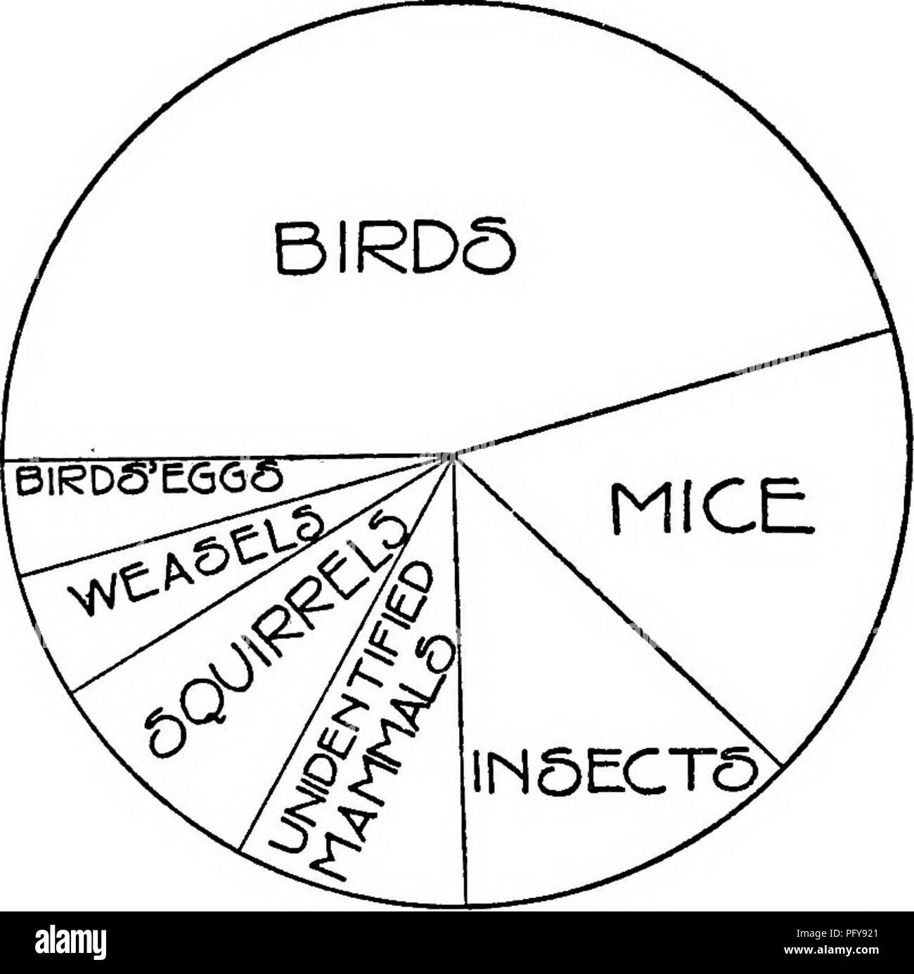 Ce texte se concentre sur les ennemis naturels des oiseaux, y compris diverses espèces de serpents tels que la tête cuivrée et le serpent noir. La tête cuivrée est décrite comme non venimeuse et se trouve dans des régions allant du Massachusetts à d’autres parties du nord-est des États-Unis. Le guide comprend des diagrammes montrant les préférences alimentaires du serpent. Banque D'Images