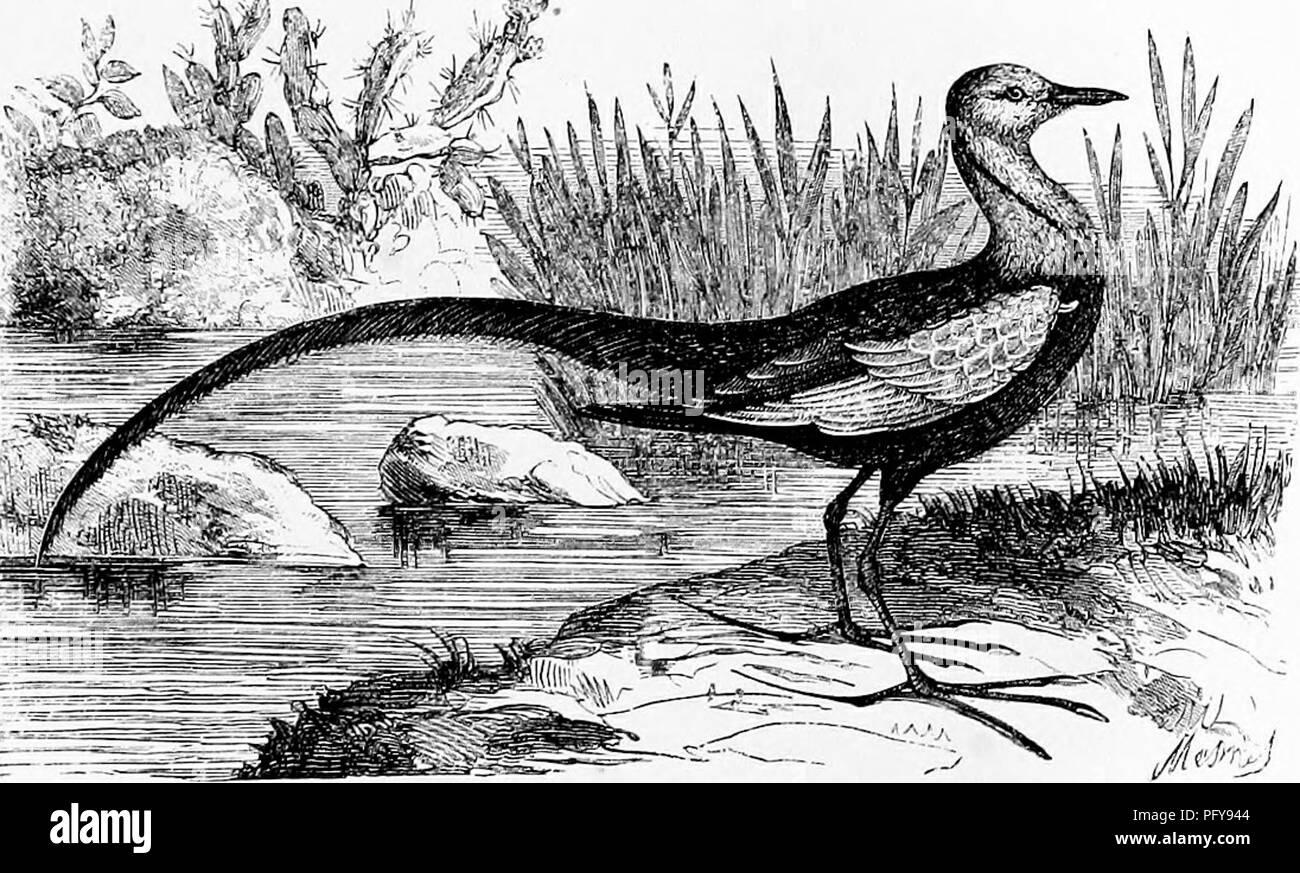 Facture longue et large Banque d'images noir et blanc Alamy