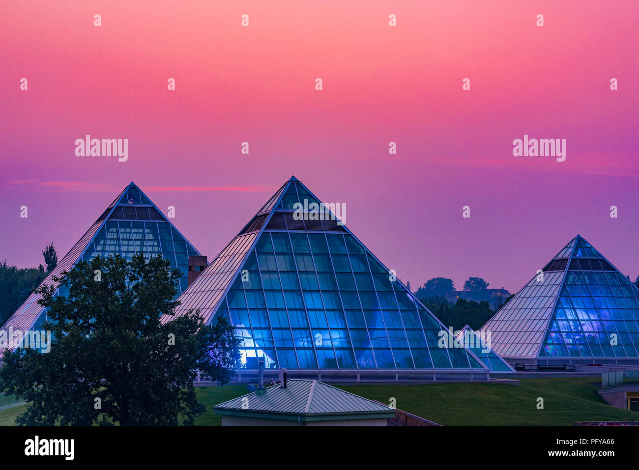 L'aube, Muttart Conservatory Pyramids, Edmonton, Alberta, Canada. Banque D'Images