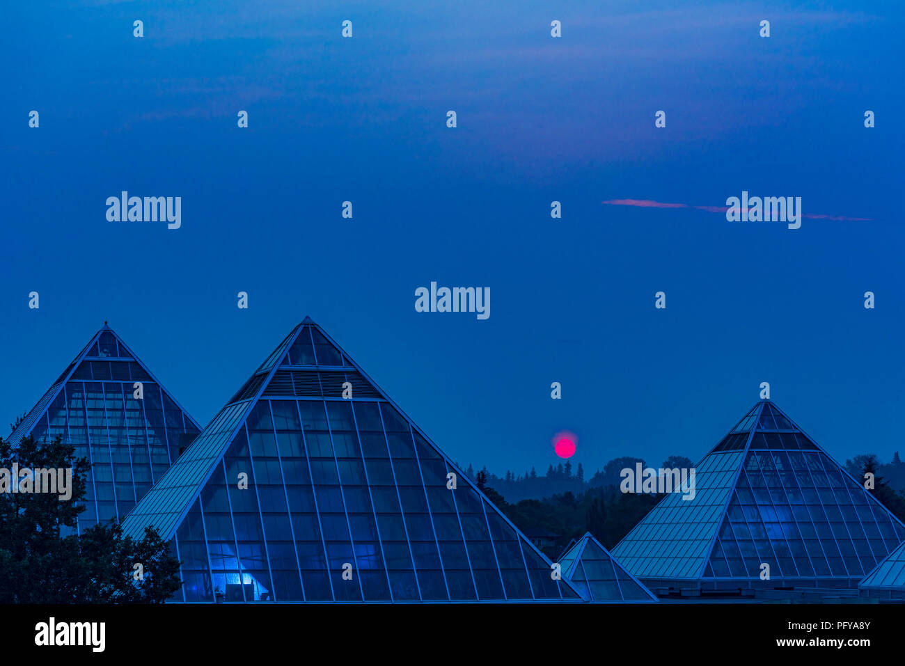 Soleil se lève à travers la fumée rempli ciel, Muttart Conservatory Pyramids, Edmonton, Alberta, Canada. Banque D'Images