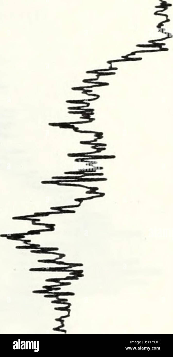 . Les données de mesure des courants à partir de la pente les eaux au large de la Californie centrale, 25 juillet 1978 - 1 juin 1980. Les courants marins, l'océan Pacifique. ; OCÉANOGRAPHIE--OCÉAN PACIFIQUE.. m -z. i- CO &Lt ; z : &lt;J i- &Lt ; lu q. 2 : LU s 9 s ui &lt;2 CD 'CO 3 S33D930 74. Veuillez noter que ces images sont extraites de la page numérisée des images qui peuvent avoir été retouchées numériquement pour plus de lisibilité - coloration et l'aspect de ces illustrations ne peut pas parfaitement ressembler à l'œuvre originale.. Oiseau, Arlene A.  ; Wickham, Jacob B.;Bottero, Joseph S. ;Pittock, Glenna. ;Smith, Robert L. ;Mooers, C. N. K. (Christopher N. K. ). Monterey Banque D'Images