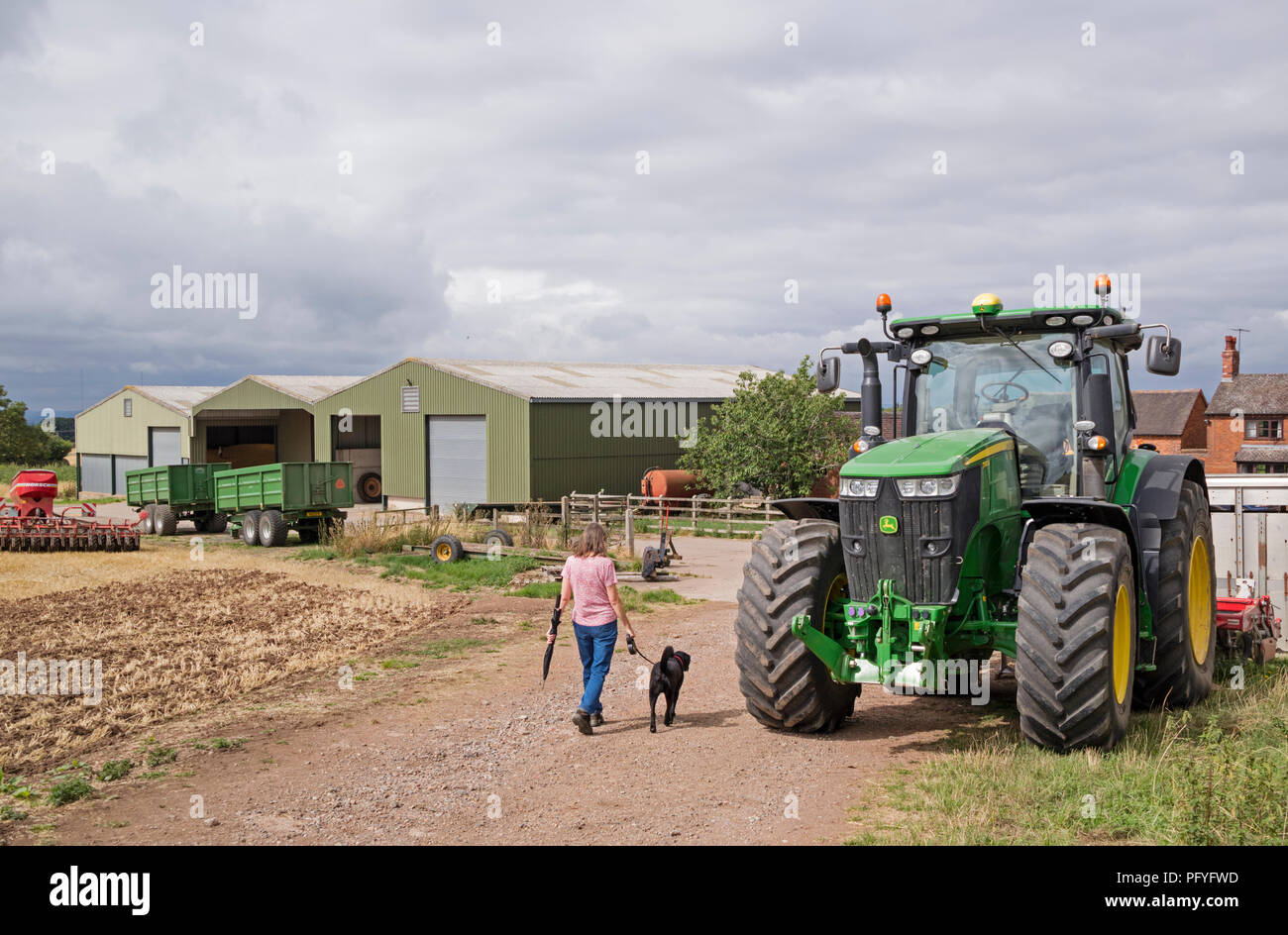 La promenade du chien cours des machines agricoles sur une ferme britannique, la Grande-Bretagne, Royaume-Uni Banque D'Images