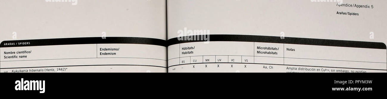 . Cuba : Siboney-Juticí. Histoire naturelle ; l'évaluation écologique (biologie) ; la conservation de la faune. Apéndice/Annexe 5 Arañas/Spiders/Apéndice Annexe 5 Arañas/araignées. Gnaphosa Gnaphosidae sp." LinyphÜdae coccínea ÍHentz Florinda OH. 1850) Lycosidae Arctosa fusca (Keyserling, 1876) Lycosa isoler Bryant, 1940 nebulosusSmor Strotarchus Miturgidae, 1888 Oecobius concinnusSmon Oonopoides, 1893 pitosus' Oonopidae Dumitresco &AMP ; Georgesco, 1983 LEYENDA/LÉGENDE Endemismo endémisme/C  = Endémico de Cuba/ endémique à Cuba L  = Endémico (local conocido sólo de la localidad tipo}/Local endémique (connu o Banque D'Images