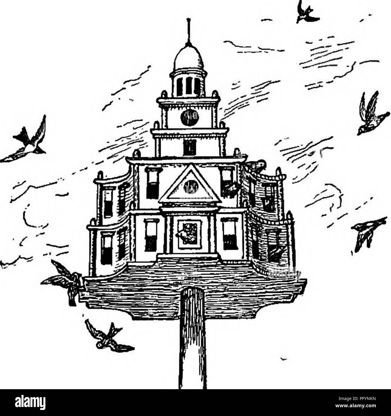 . Les oiseaux utiles et leur protection. Contenant de brèves descriptions des espèces plus communs et les plus utiles du Massachusetts, avec des comptes de leurs habitudes alimentaires, et un chapitre sur les moyens d'attirer et de protéger les oiseaux. Les oiseaux ; les oiseaux. 396 oiseaux utiles.. verre. J'ai donc souvent vu Chickade.es Bluebirds et nourrir leurs petits. Jusqu'à présent il a été mon intention de montrer comment on peut éviter des frais.dans la construction de nichoirs. Néan- moins, les maisons d'oiseaux d'ornement coûteux ajouter à l'attrayant- ness d'une maison de campagne, et peut s'afficher où les vieilles boîtes en fer et bon marché serait boîtes Banque D'Images