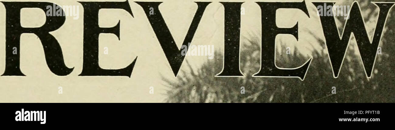 . L'examen de Cuba. La SCRL. W/. Veuillez noter que ces images sont extraites de la page numérisée des images qui peuvent avoir été retouchées numériquement pour plus de lisibilité - coloration et l'aspect de ces illustrations ne peut pas parfaitement ressembler à l'œuvre originale.. Munson Steamship Line. New York : Munson Steamship Line Banque D'Images