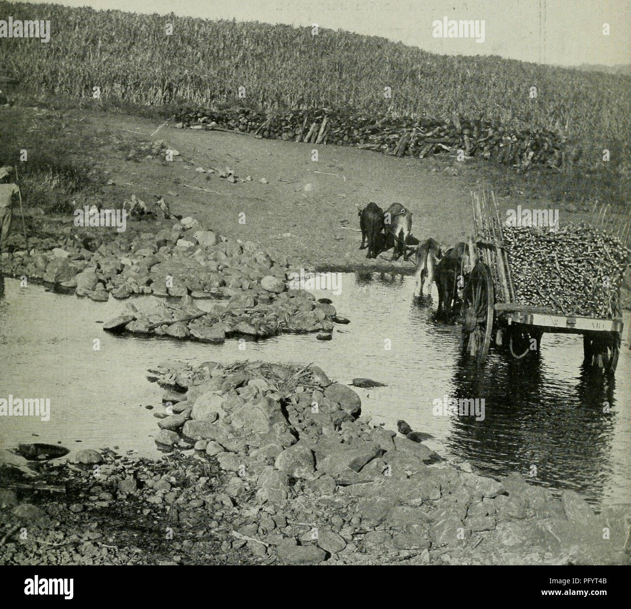 . L'examen de Cuba. CVBA EXAMEN. Veuillez noter que ces images sont extraites de la page numérisée des images qui peuvent avoir été retouchées numériquement pour plus de lisibilité - coloration et l'aspect de ces illustrations ne peut pas parfaitement ressembler à l'œuvre originale.. Munson Steamship Line. New York : Munson Steamship Line Banque D'Images