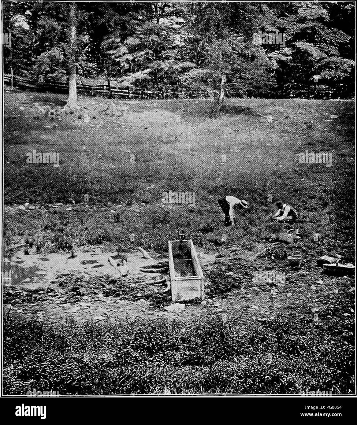 Cette image illustre le processus de formation du sol par désintégration de la roche, en soulignant comment l'eau est soulevée par capillarité pour soutenir la croissance des plantes. Il présente des plantes de sphaigne dans un bassin morainique près d'Ithaque, montrant comment la plante pousse vers le haut au fil du temps. Banque D'Images