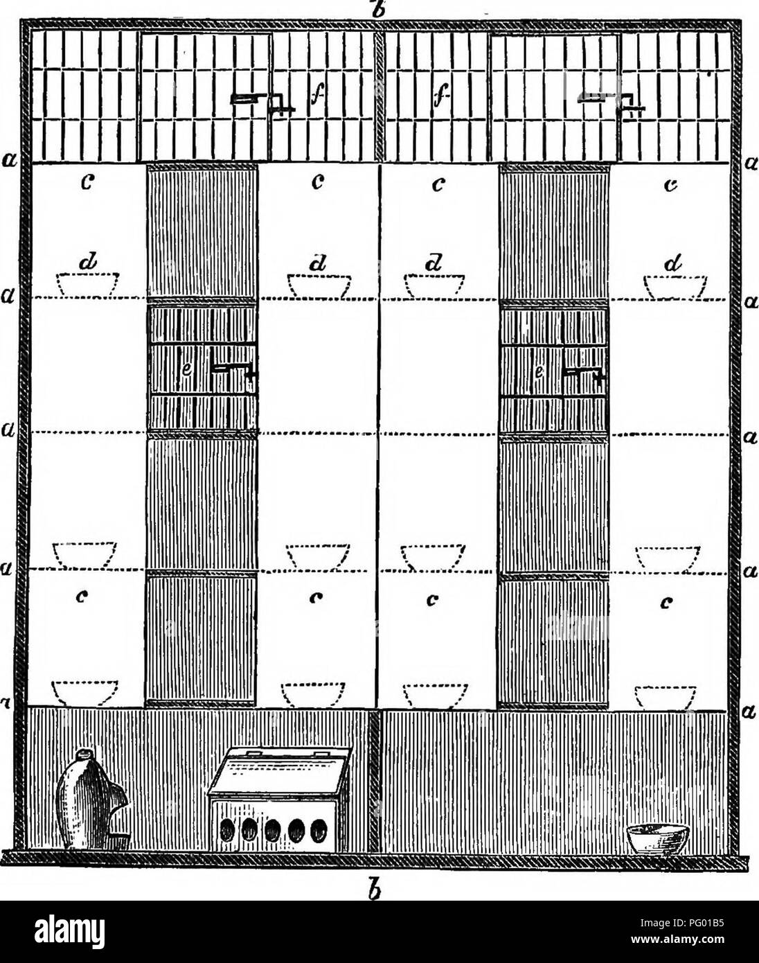 . Le pigeon pratique keeper. Les pigeons. Le PIGEON PRATIQUE KEEPER.. Fig. 3.-riTTINGS INTERNE DE LOFT. o a, b, h. SKelveg. partition c 0, perpendiculaire, slielteriDg boarda nest pons. d d, Neat-casseroles. e e, fils de stylos. //, Fil ouvert bihoreau stylos.. Veuillez noter que ces images sont extraites de la page numérisée des images qui peuvent avoir été retouchées numériquement pour plus de lisibilité - coloration et l'aspect de ces illustrations ne peut pas parfaitement ressembler à l'œuvre originale.. Wright, Lewis, 1838-1905. Londres, Cassell &AMP, le nom de l'entreprise Banque D'Images