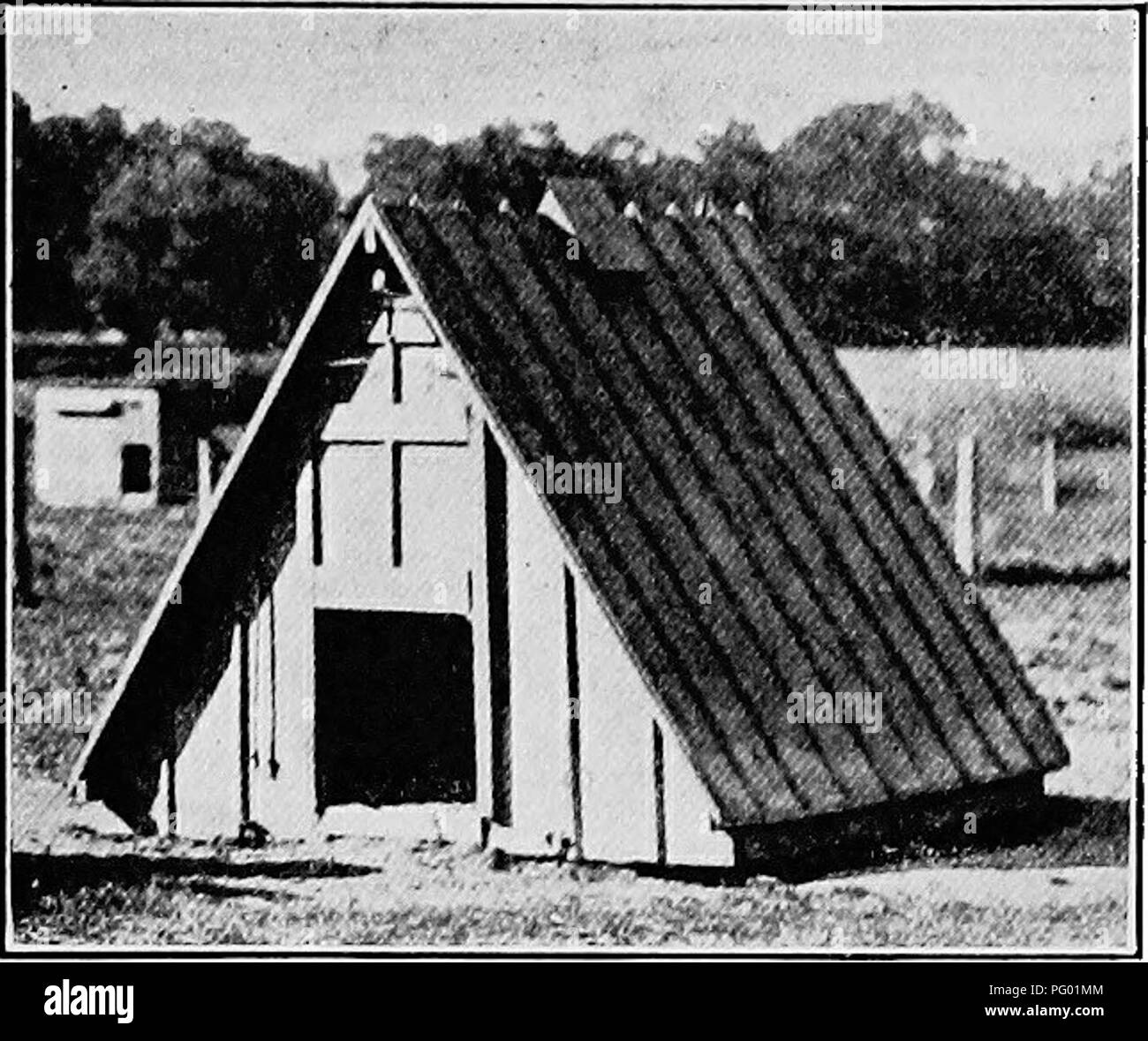 . Entretien d'animaux de ferme ; un guide pratique de l'avoir choisi, l'élevage, et de garder des chevaux, bovins, ovins et porcins. L'industrie des animaux ; les chevaux, bovins, moutons, porcs. Les SOINS ET LA GESTION 607. Fig. 174.- Une personne en forme de porc maison. si les terrains où ils sont conservés pour l'hiver sont boueuses, un plancher de bois doit être fournie. Un ventilateur doit être fournie, ce qui peut être fait par scier les extrémités de deux conseils scolaires de toit et ering le trou ainsi formé avec un capot en forme de V (Fig. 174). Afin de donner de la lumière d'une fenêtre en verre- devrait être placé à l'avant au-dessus de la porte et un second à l'arrière. Un Banque D'Images