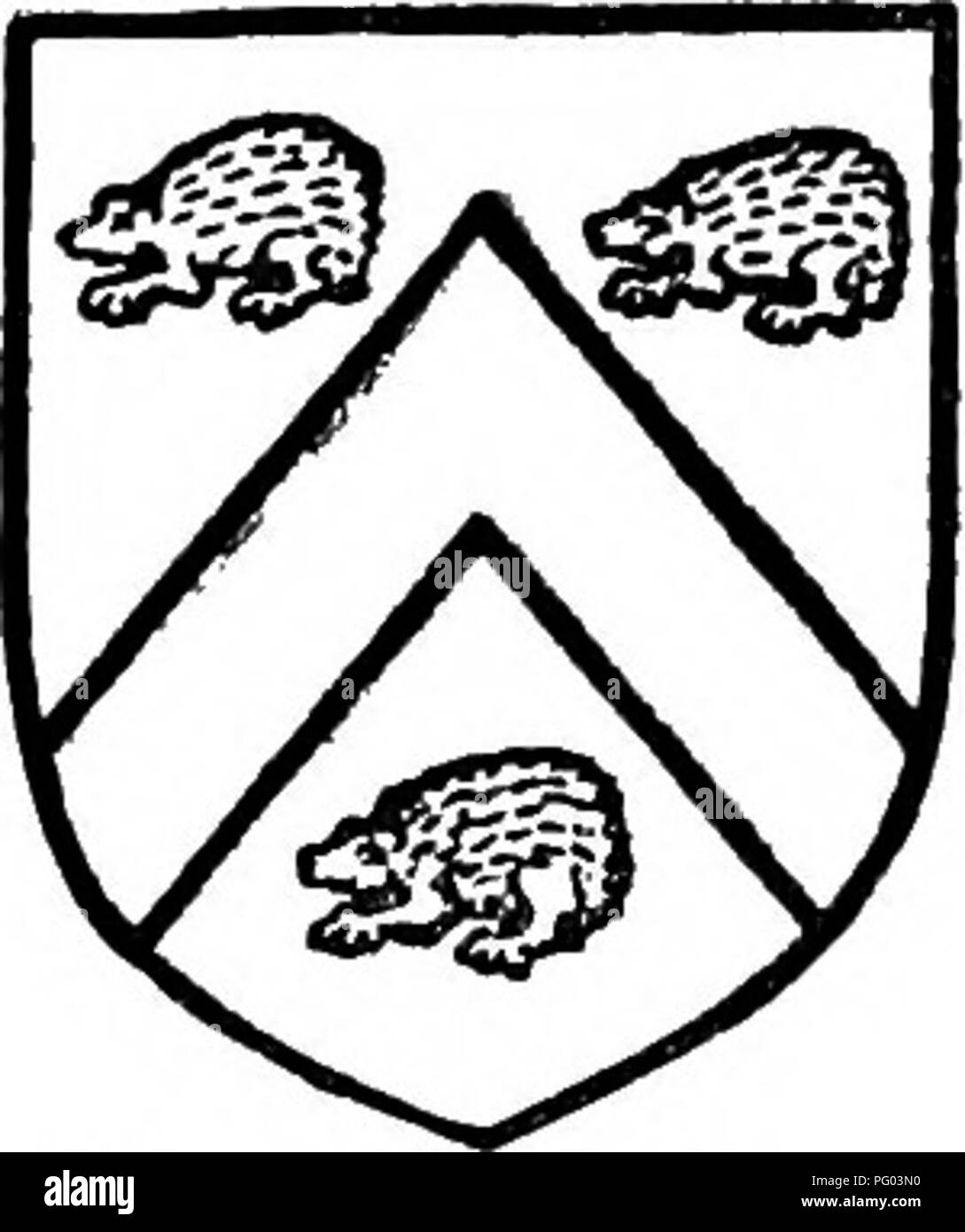 . L'histoire de Victoria du comté de Lancaster ;. L'histoire naturelle. Une histoire de Lancashire tance à Alice, qui épousa Henry fils de Henry fils de Richard de Glazebrook, après quoi il a obtenu le nom de Byrom.*® La famille amélioré sa position plus tard par des mariages, et environ 1420 Henry de Byrom Lucy mariés une fille et co-héritière de Henry fils de John de Parr." Son petit-fils Henry épouse Constance fille et co-héritière de Gilbert Abram, et l'un des héritiers de l'Boydells de Grap- penhall ; par cette réduction considérable des terres du Cheshire ont été acquis, ainsi que l'advowson de Grappen- l Banque D'Images