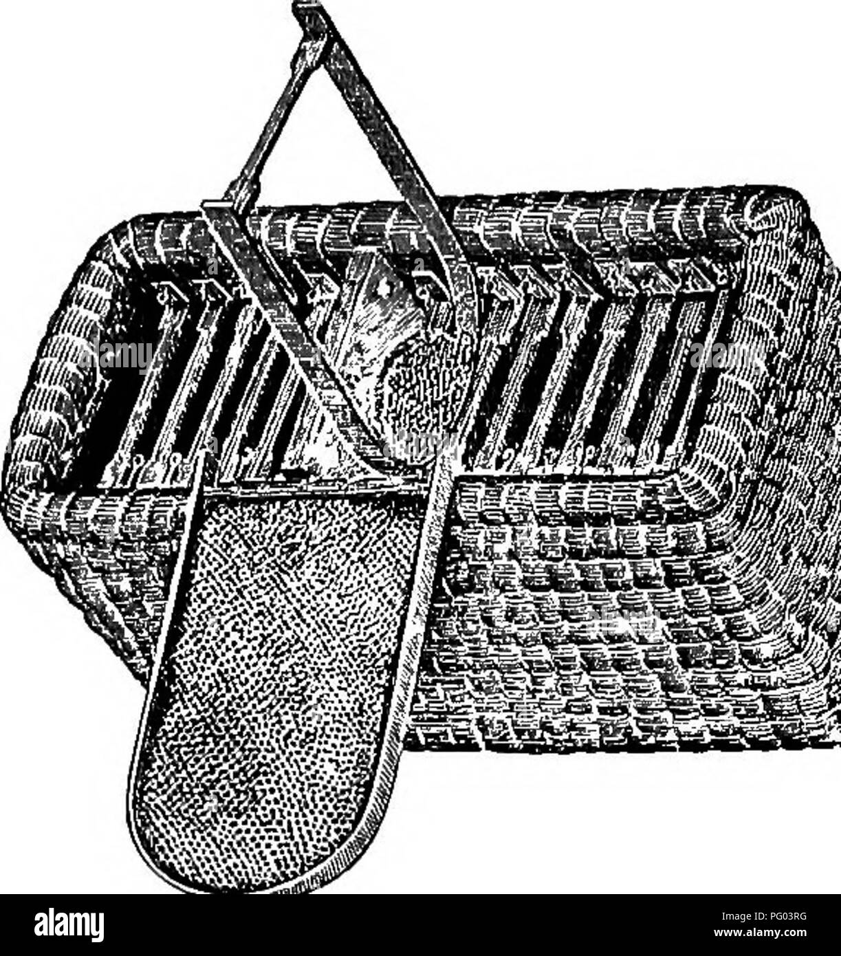 . L'apiculture ; une analyse de la vie de l'abeille et de la production de miel. Les abeilles ; le miel. L'Apiculture comme une profession. Fig. 6.- Gravenhorst ruche, une combinaison de skep et frame-ruche. une plus grande partie de la mise à fruit est le résultat du travail de l'abeille, et de nombreux producteurs de fruits jusqu'beekeep- ing uniquement pour son utilisation- plénitude dans ce re- gard. C'est la na- tion estime que l'abeille est plus précieux pour l'agriculture américaine dans son travail de pollinisation croisée qu'il est aussi un producteur de miel. Dans toutes les questions par maintien à l'avancement de l'industrie de l'apiculture le Banque D'Images