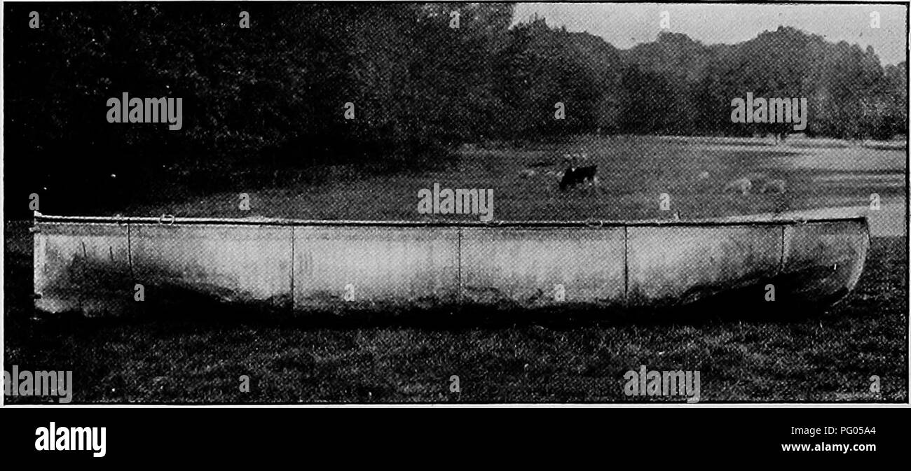 Ce récit détaille l'expédition Alexander-Gosling, qui a couvert la région du Niger au Nil. Il comprend des descriptions des espèces d'oiseaux rencontrées pendant le voyage. Banque D'Images