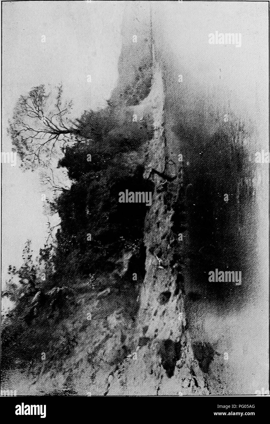 Ce travail décrit l’expédition Alexander-Gosling, en se concentrant sur les espèces d’oiseaux observées le long des fleuves Niger et Nil, avec des informations détaillées sur leur habitat et leur comportement. Banque D'Images