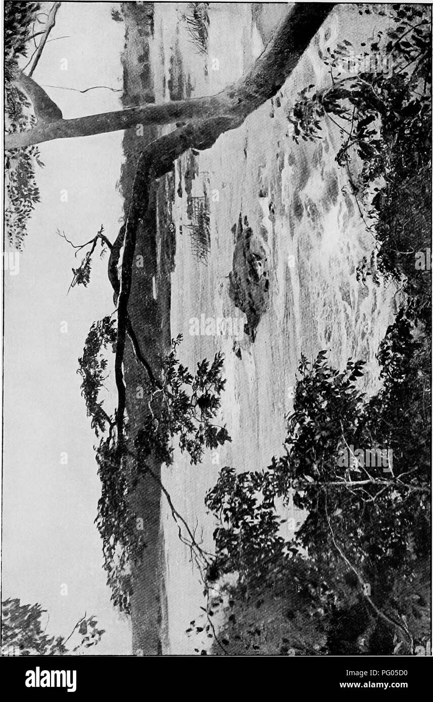 . Du Niger au Nil. Alexander-Gosling ; des oiseaux de l'expédition. . Veuillez noter que ces images sont extraites de la page numérisée des images qui peuvent avoir été retouchées numériquement pour plus de lisibilité - coloration et l'aspect de ces illustrations ne peut pas parfaitement ressembler à l'œuvre originale.. Alexander, Boyd, 1873-1910 ; Talbot, Percy Amaury, 1877-1945. Londres, E. Arnold Banque D'Images