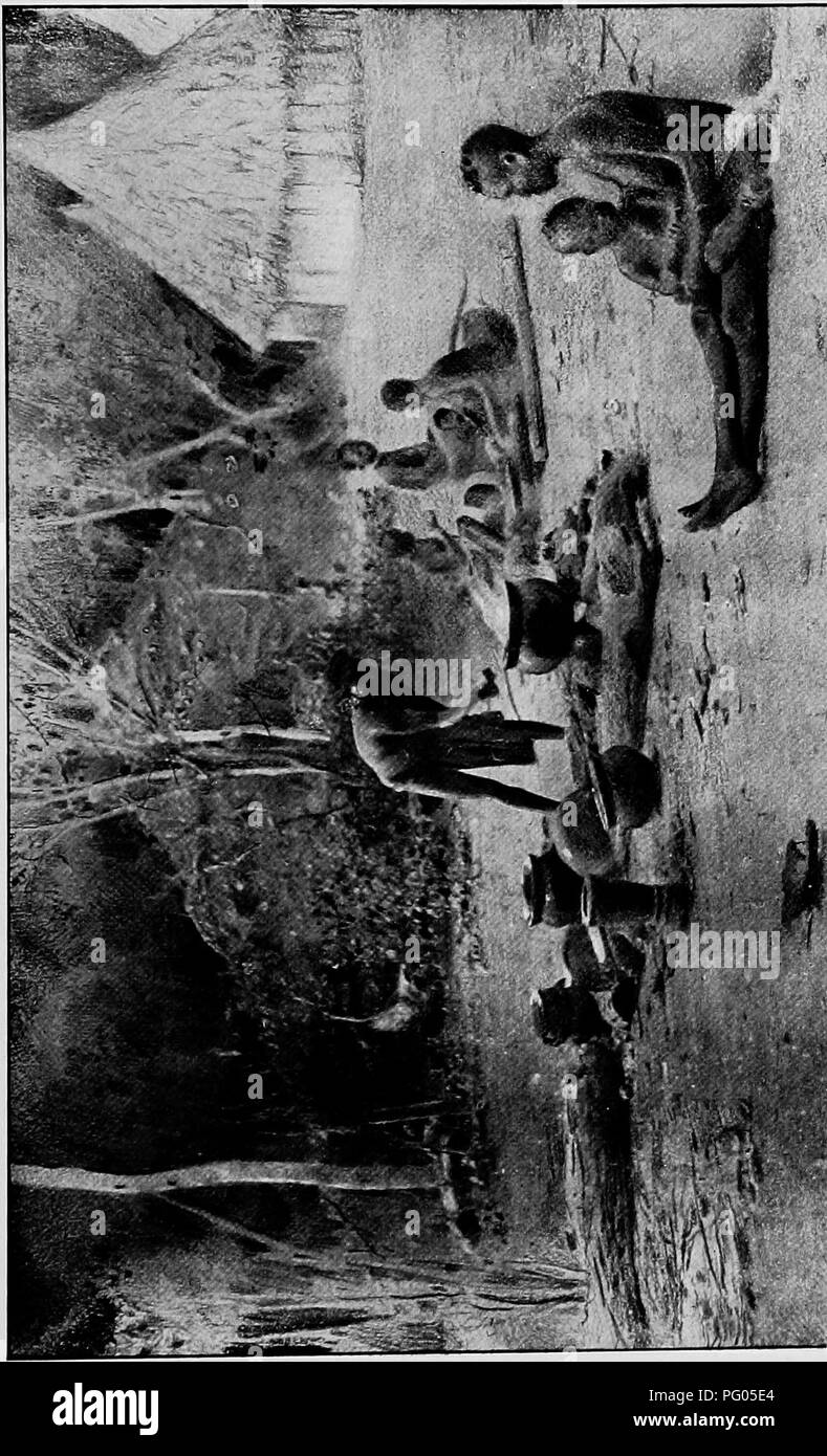 L'expédition Alexander-Gosling, documentée dans 'du Niger au Nil', a exploré des espèces d'oiseaux et d'autres espèces sauvages à travers l'Afrique, en se concentrant sur des régions allant du fleuve Niger au Nil. Le travail contribue à l'ornithologie et à l'histoire naturelle africaine. Banque D'Images