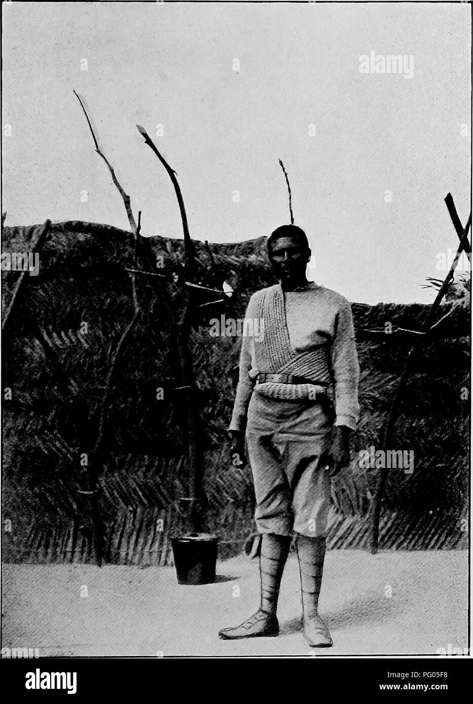 Cette illustration de l’expédition Alexander-Gosling documente les espèces d’oiseaux observées entre le Niger et le Nil. Il met en lumière diverses espèces d’oiseaux rencontrées au cours de l’expédition, contribuant ainsi à la compréhension scientifique de la vie aviaire régionale. Banque D'Images