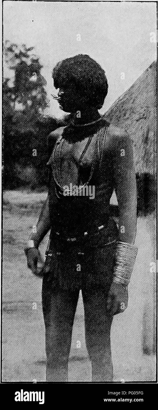 L'expédition Alexander-Gosling raconte une exploration en Afrique, en se concentrant sur la tribu Banda et la diversité des oiseaux de la région. Le récit détaille les conditions de vie de la tribu et leurs interactions avec les explorateurs, ainsi que les oiseaux trouvés le long des fleuves Niger et Nil. Banque D'Images