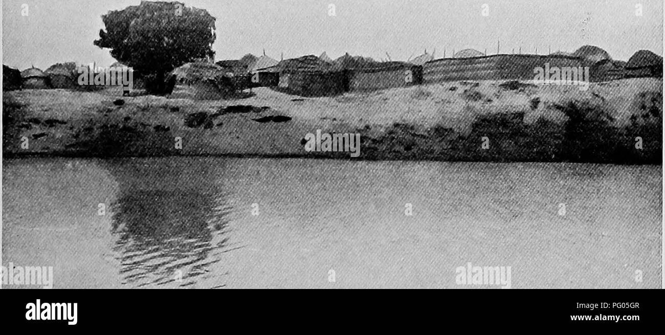 L'expédition d'Alexander-Gosling, qui voyageait de Fort Lamy aux collines de Togbau, explorait diverses régions d'Afrique, rencontrant des défis uniques, y compris les effets de la maladie du sommeil. Le récit capture le voyage et ses observations sur la faune locale, y compris les oiseaux et les mammifères, offrant un aperçu de la flore et de la faune africaines. Banque D'Images