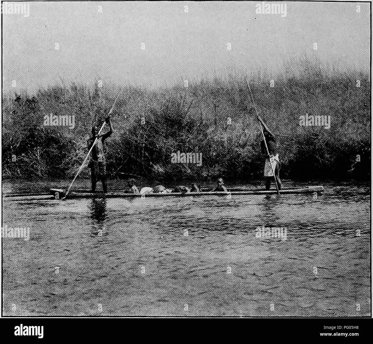 Ce récit documente le voyage de l'expédition Alexander-Gosling du Niger au Nil, en se concentrant sur la faune observée, en particulier les espèces d'oiseaux. Il décrit diverses rencontres avec des animaux tels que des roedBucks et des waterBucks, donnant un aperçu de la faune de la région. Banque D'Images