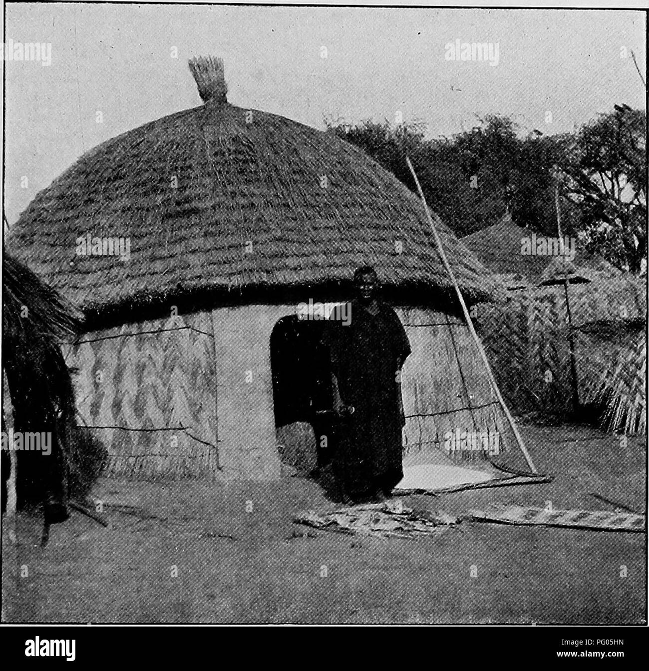 L'expédition Alexander-Gosling du Niger au Nil a exploré la faune et la géographie africaines. Le voyage s’est concentré sur la capture de la biodiversité de la région, y compris diverses espèces d’oiseaux, et a détaillé les expériences de l’équipe avec la faune locale et les conditions environnementales. Banque D'Images