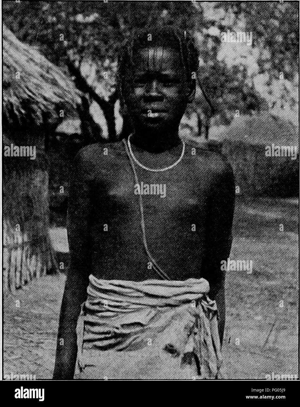 Un compte rendu de l'expédition Alexander-Gosling, centré sur l'exploration du Niger au Nil. L’expédition a documenté les espèces d’oiseaux et les défis rencontrés au cours de leurs voyages, y compris leurs interactions avec les populations locales. Banque D'Images